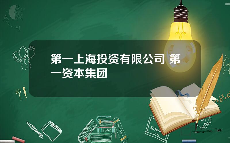 第一上海投资有限公司 第一资本集团